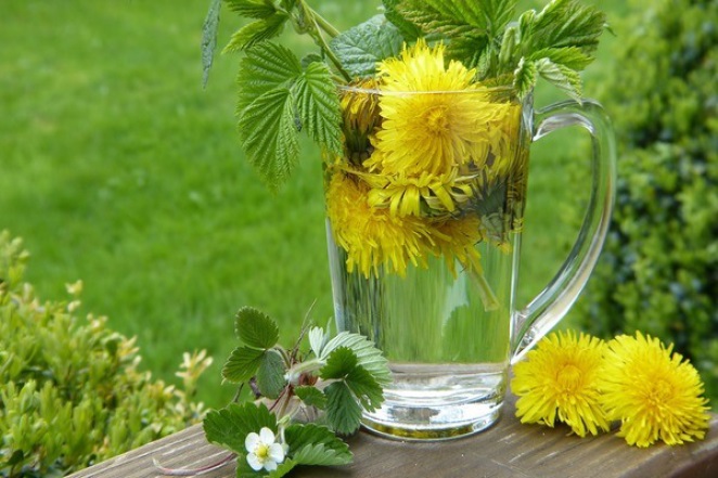 Foods That Naturally Cleanse Your Kidneys5